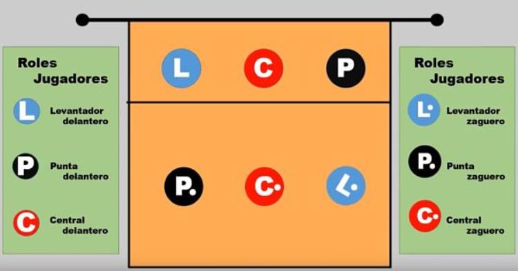 ¿Cuáles son las posiciones y roles básicos en un equipo de voleibol?