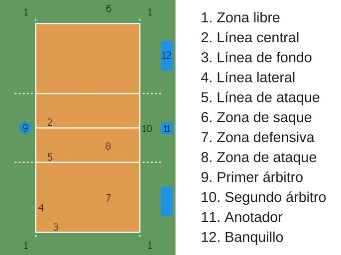 ¿Cuáles son las reglas básicas del voleibol?