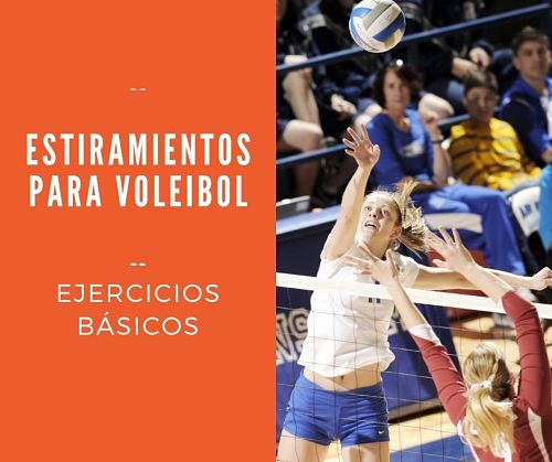 Los mejores ejercicios de estiramiento para jugadores de voleibol: ¡prevén lesiones y mejora tu rendimiento!