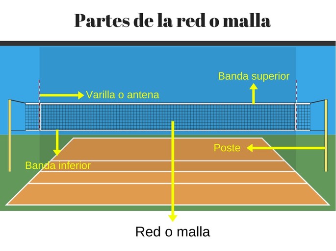 Todo lo que debes saber sobre las reglas de la red en el voleibol