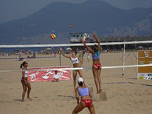 Cuántos Jugadores Componen un Equipo de Beach Voley